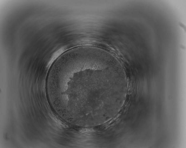 X0000096470099200801311543