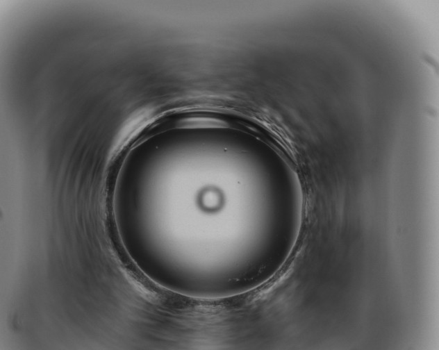 X0000096470101200801311543
