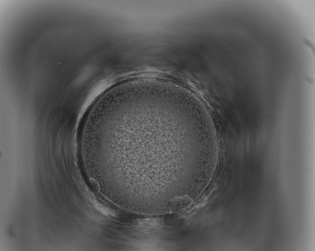 X0000096470102200801311543