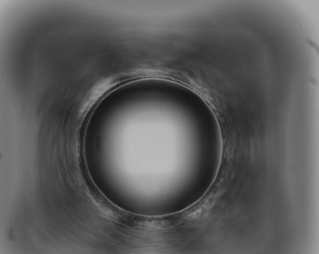 X0000096470103200801311543