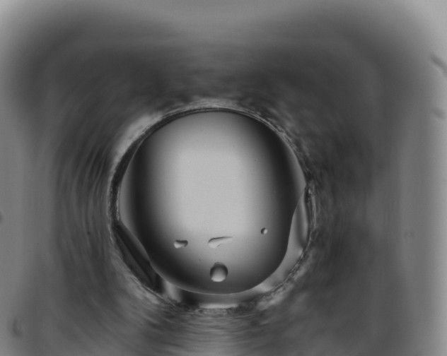 X0000096470104200801311543