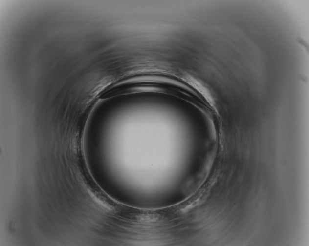 X0000096470105200801311543