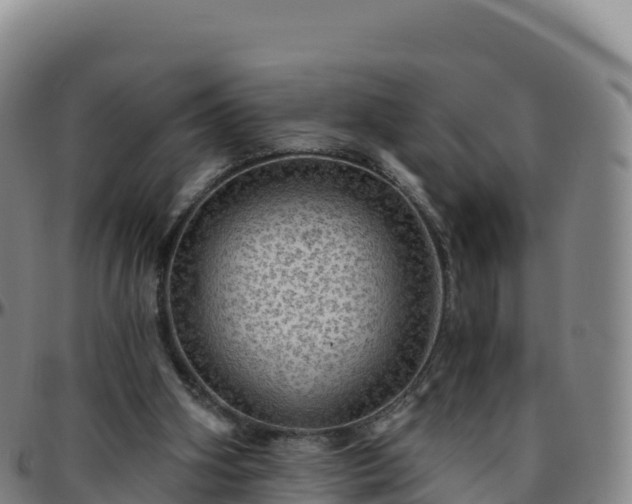 X0000096470106200801311543