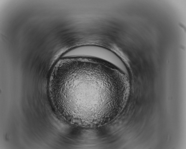 X0000096470107200801311543