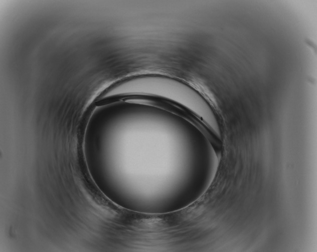 X0000096470108200801311543