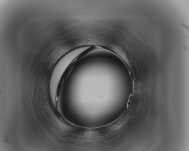 X0000096470109200801311543
