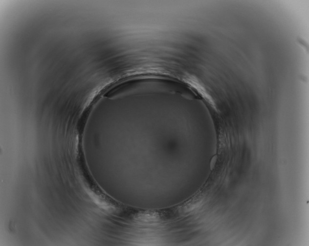 X0000096470110200801311543