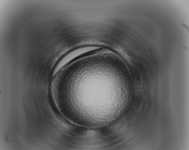 X0000096470111200801311543