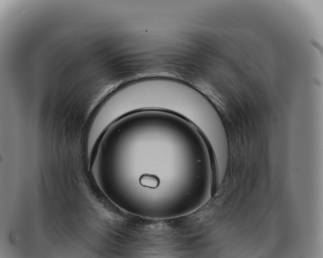 X0000096470112200801311543