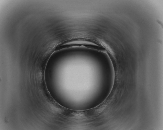 X0000096470113200801311543