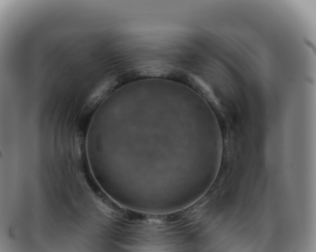 X0000096470114200801311543