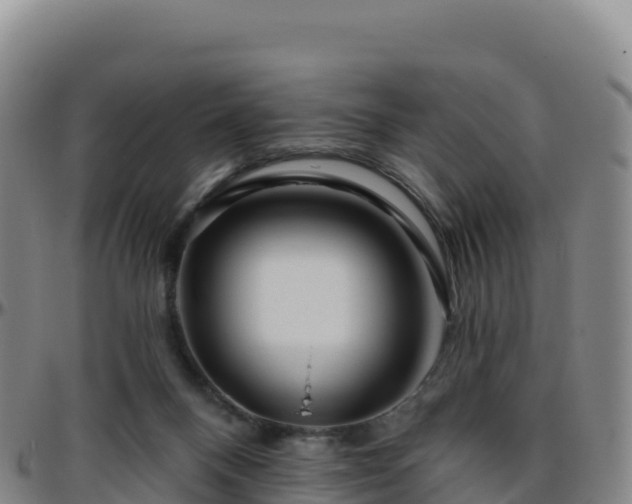 X0000096470120200801311542