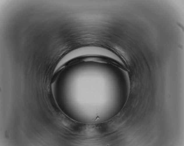 X0000096470121200801311542