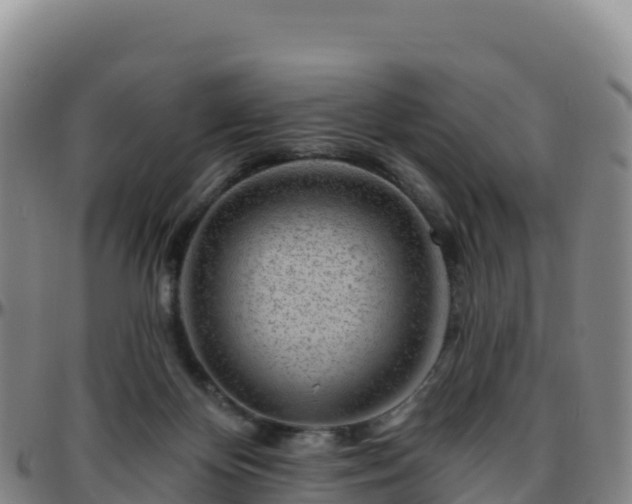 X0000096470124200801311542