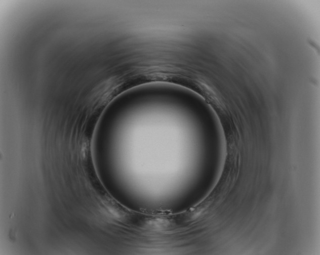 X0000096470125200801311542