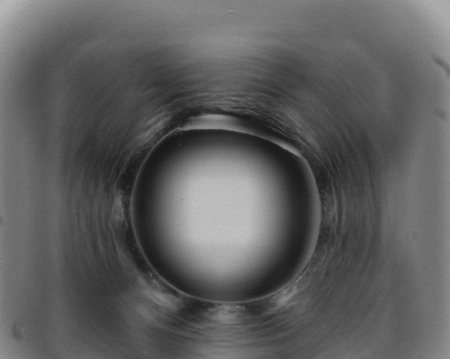 X0000096470128200801311542