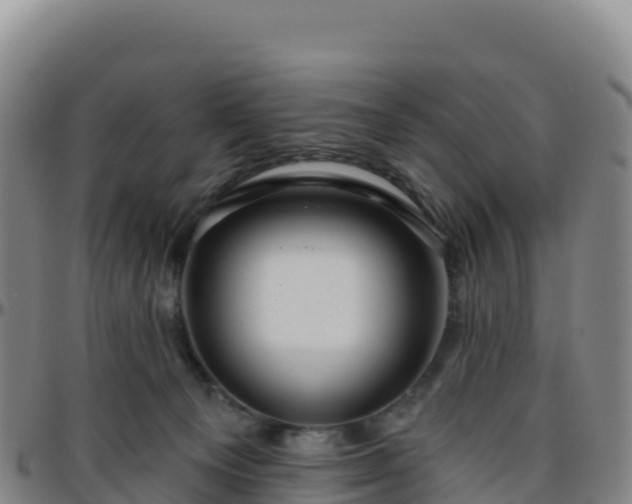 X0000096470129200801311542