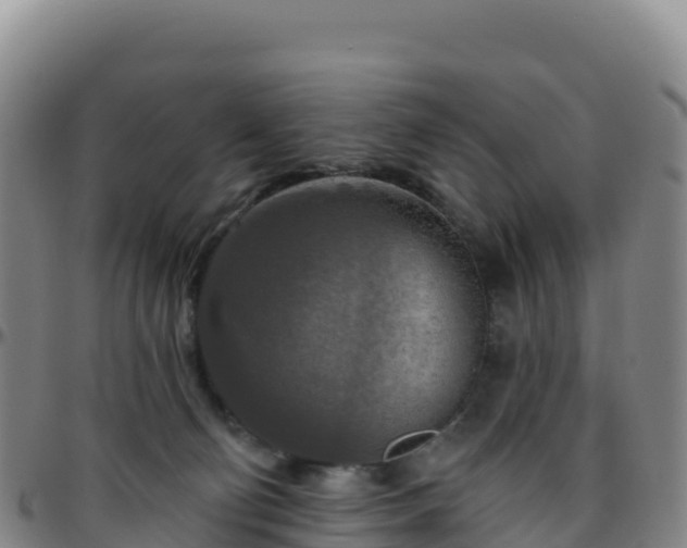 X0000096470130200801311542