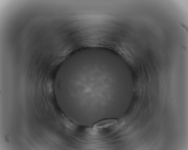 X0000096470131200801311542