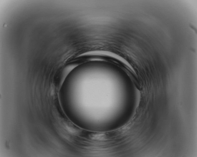 X0000096470132200801311542