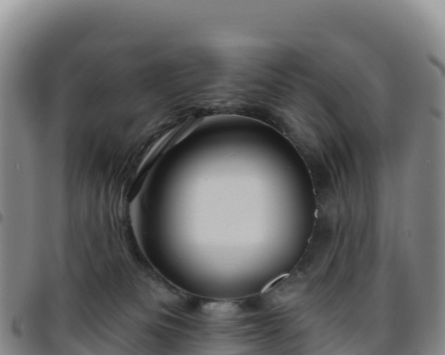 X0000096470133200801311542