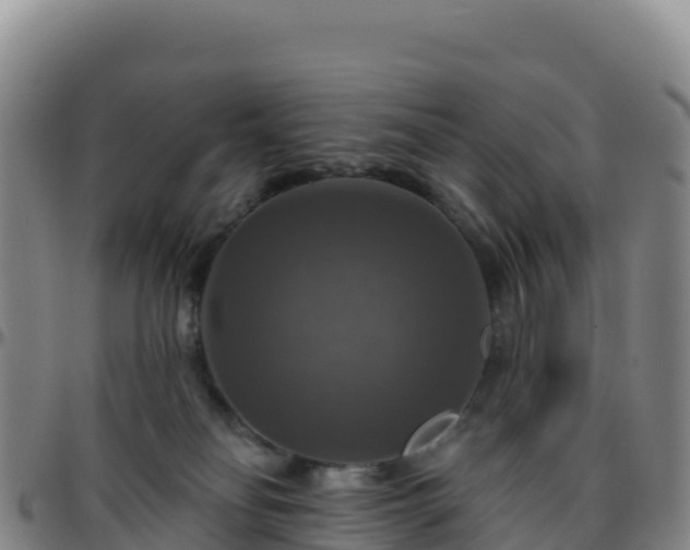 X0000096470134200801311542