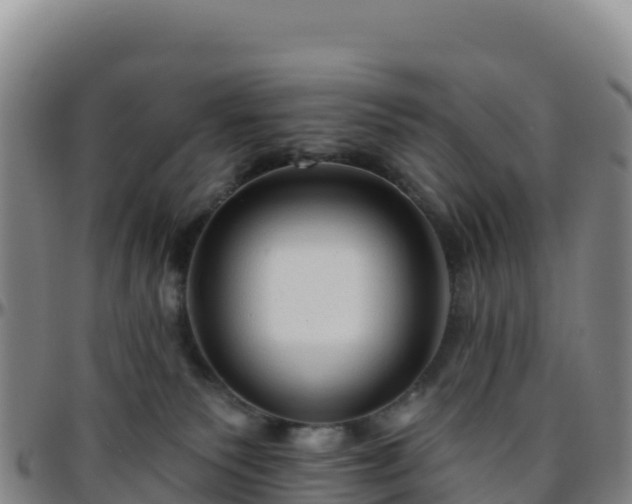 X0000096470135200801311542