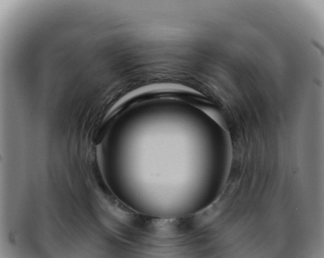 X0000096470136200801311542