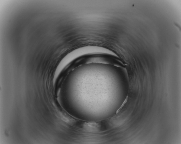 X0000096470137200801311542