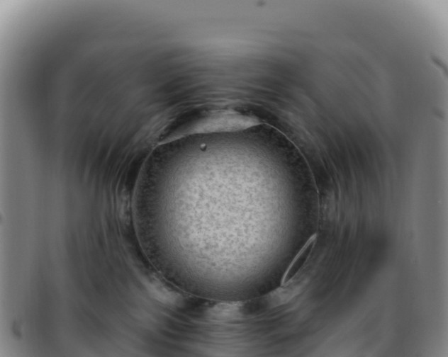 X0000096470138200801311542