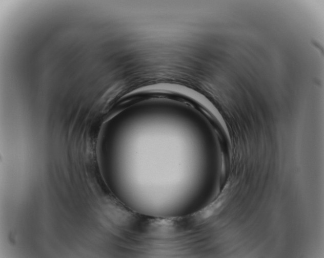 X0000096470140200801311542