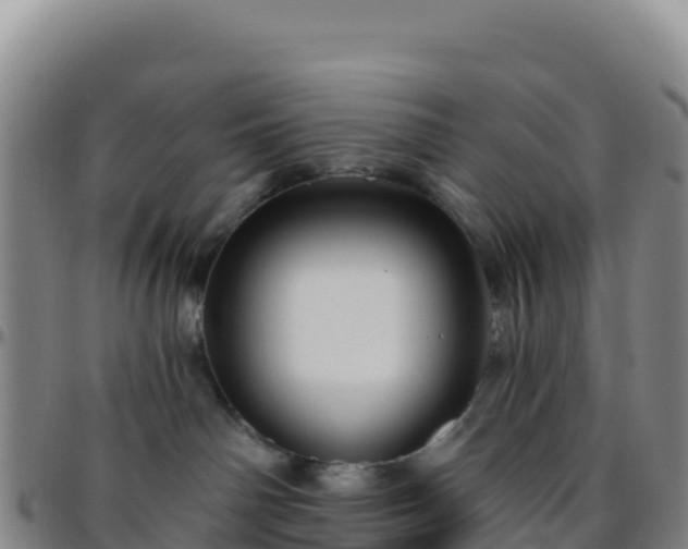 X0000096470142200801311542