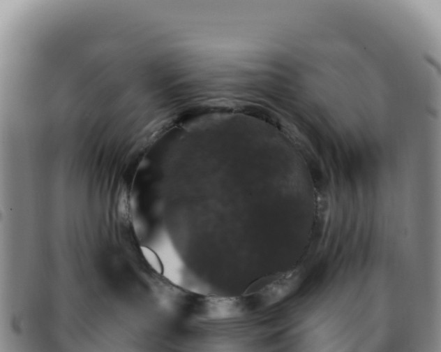 X0000096470143200801311542
