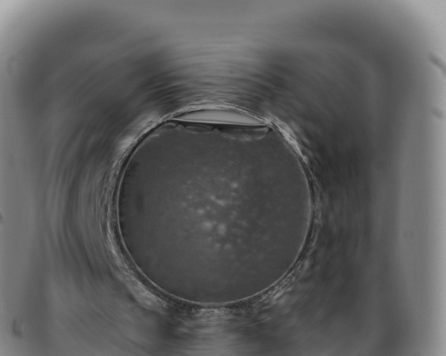 X0000096470145200801311541