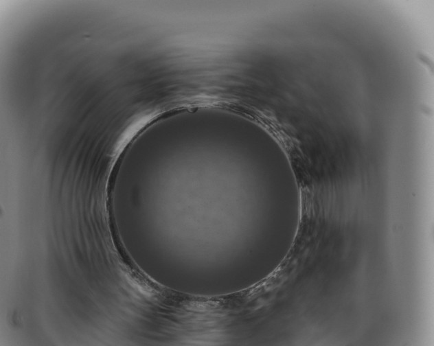 X0000096470147200801311542