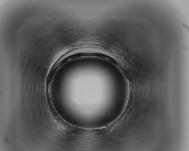 X0000096470148200801311542