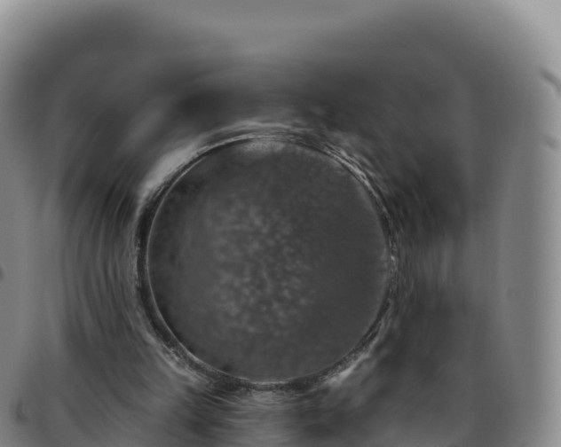 X0000096470149200801311542