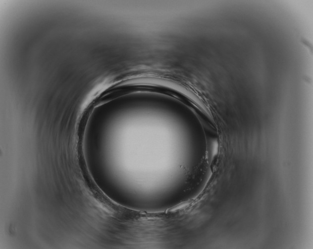 X0000096470150200801311542