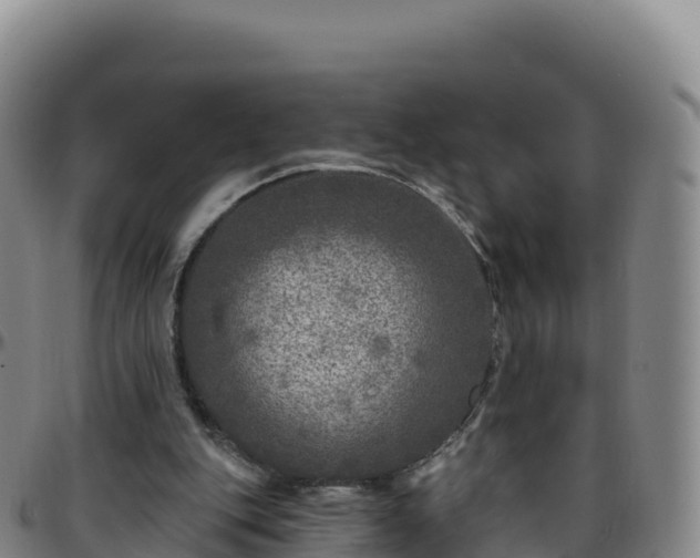 X0000096470151200801311542