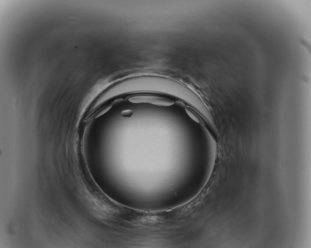 X0000096470152200801311542