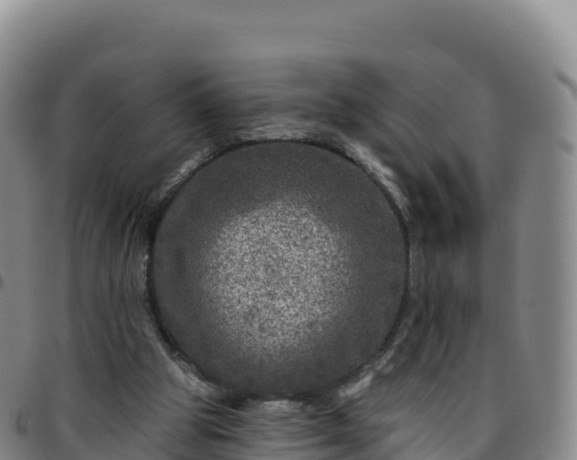 X0000096470153200801311542