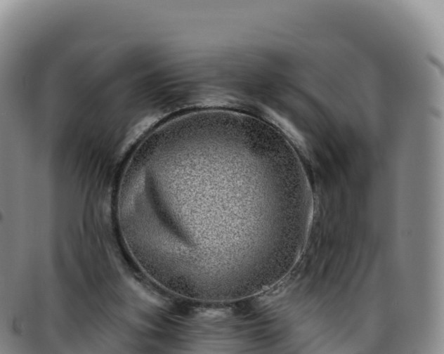 X0000096470155200801311542
