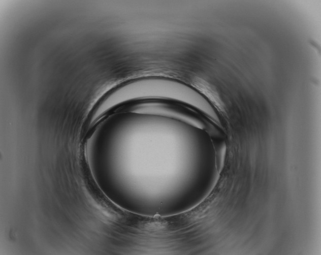 X0000096470156200801311542