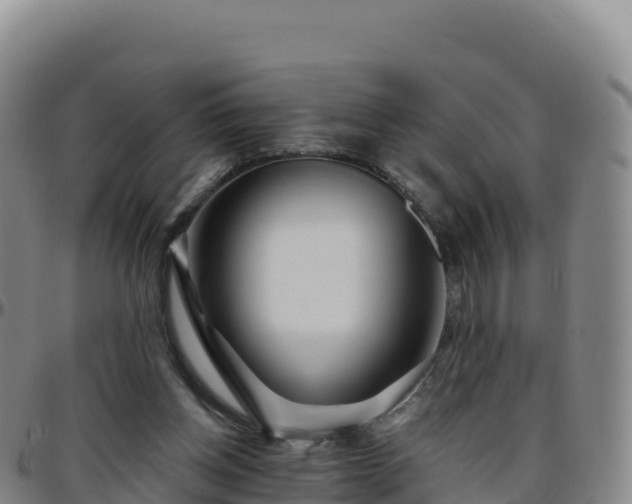 X0000096470158200801311542