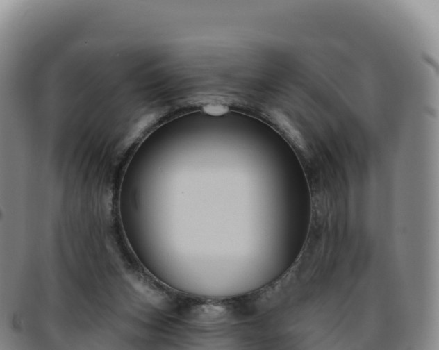 X0000096470159200801311542