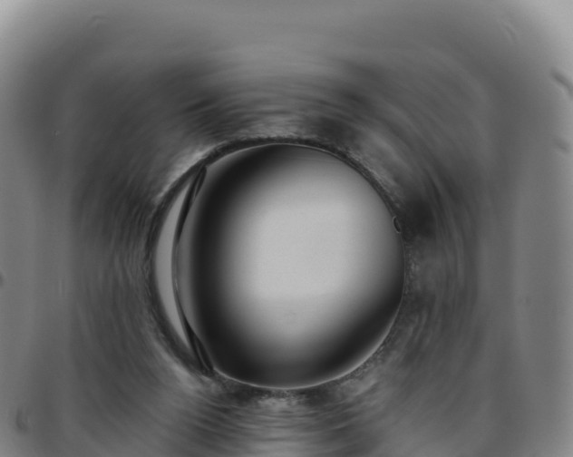 X0000096470160200801311542