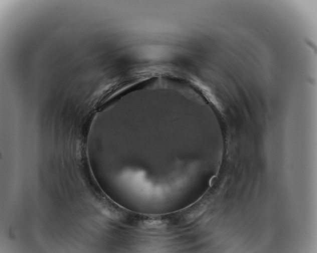 X0000096470161200801311542