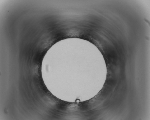 X0000096470162200801311542