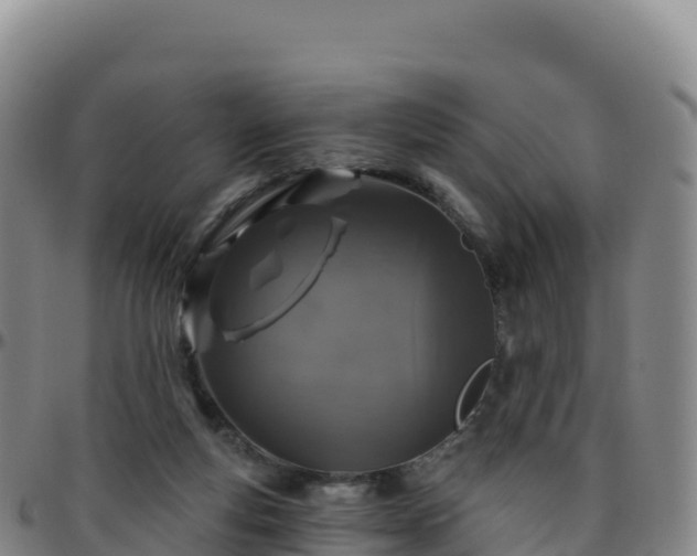 X0000096470163200801311542