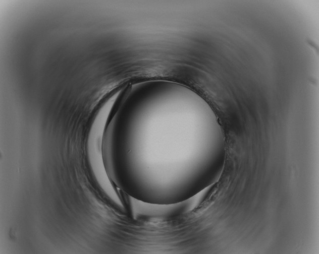 X0000096470164200801311542